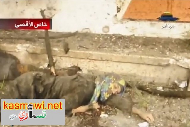 عاجل : 90 شهيدًا ومئات الجرحى حصيلة مذبحة الشجاعية وأبو مازن يعلن الحداد ثلاثة ايام